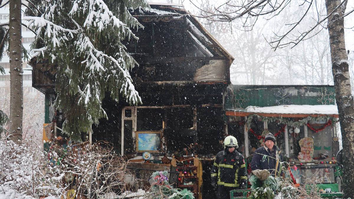 Три сотни птиц погибли в результате пожара в голубятне на юге Москвы