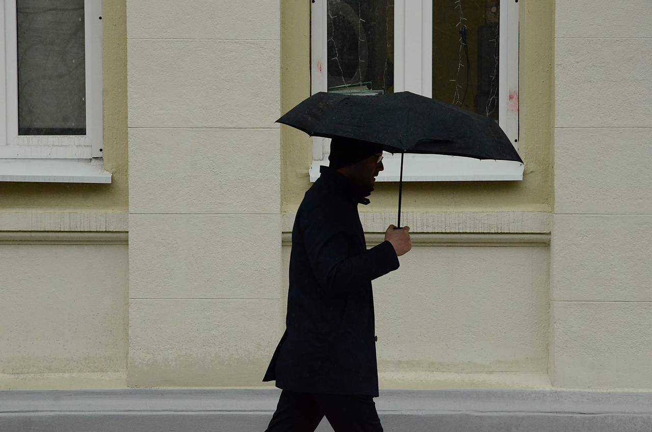 Дождь и сильный ветер ожидаются в Москве. Фото: Анна Быкова, «Вечерняя Москва» 
