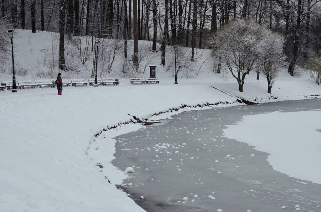 Реконструируем пруды в Покровском парке в ЮАО. Фото: Анна Быкова, «Вечерняя Москва»