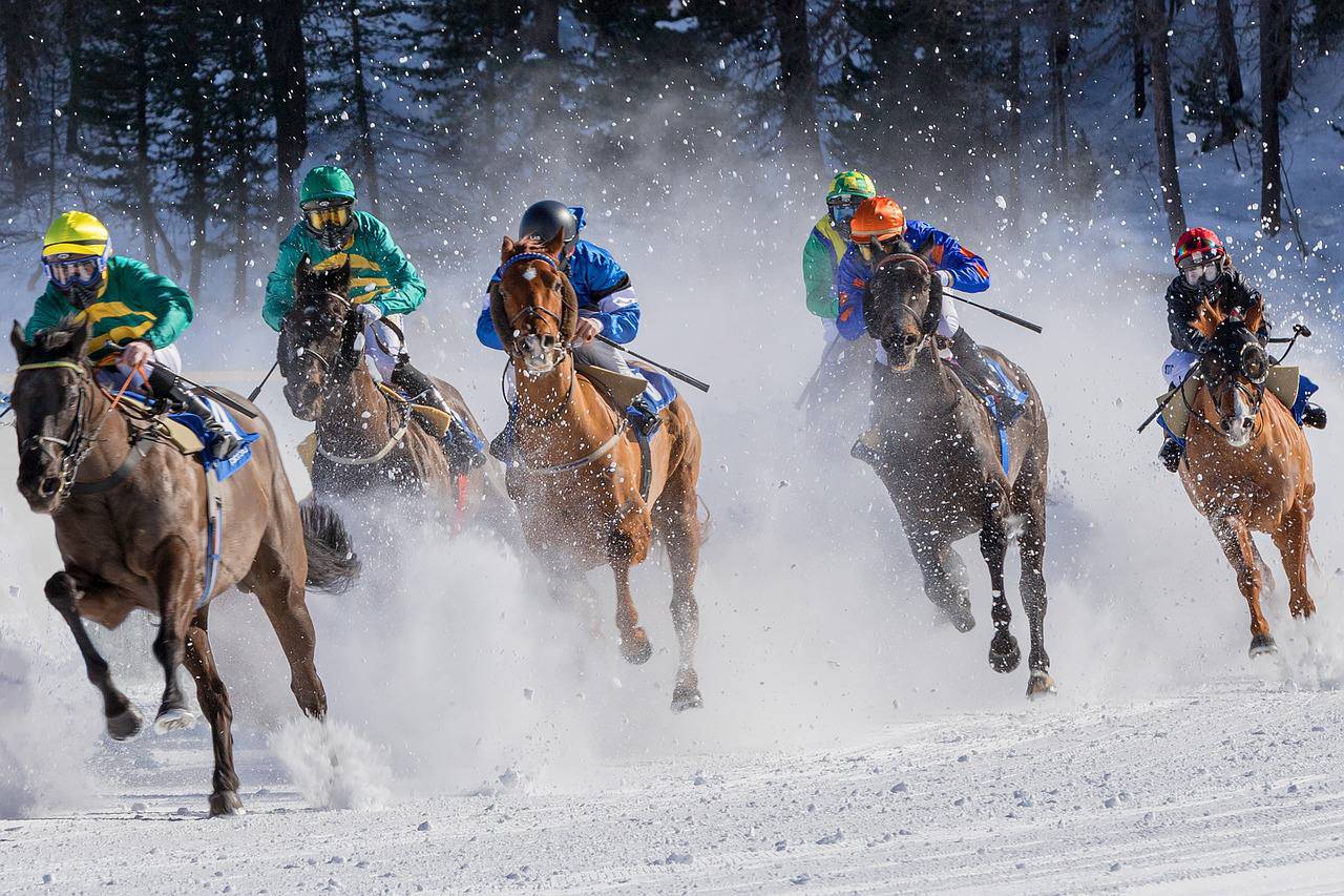 Девочка выступила в лично-командном первенстве России среди всадников на лошадях до 150 см в холке. Фото: pixabay.com