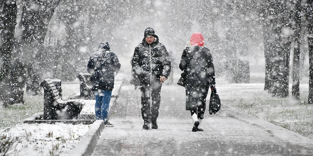 Сильный ветер ожидается в столице. Фото: сайт мэра Москвы