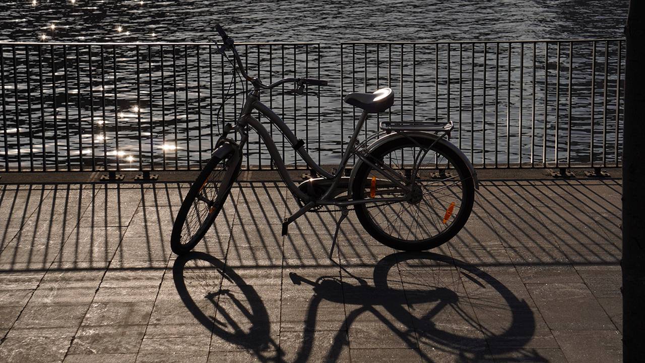 Едем на велофестиваль: в Москве введут временный бесплатный провоз велосипедов в электричках