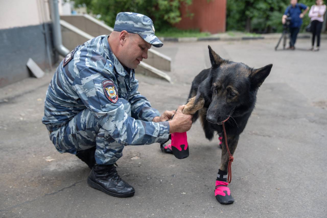 Фото: Пресс-служба УВД по ЦАО