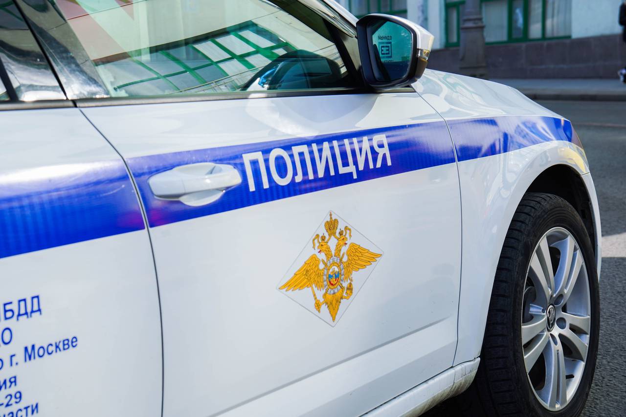 Полицейские района Хамовники задержали подозреваемого в краже сумки. Фото: Ксения Догонашева, «Вечерняя Москва»