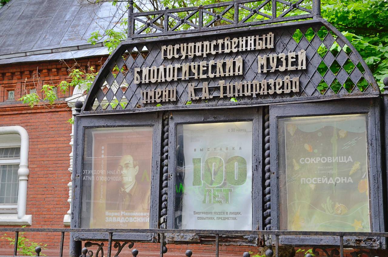 Чтобы пройти квест нужно в музее найти афишу с куар-кодом и отсканировать его, а после авторизации появится первый вопрос. Фото: Анна Быкова, «Вечерняя Москва»
