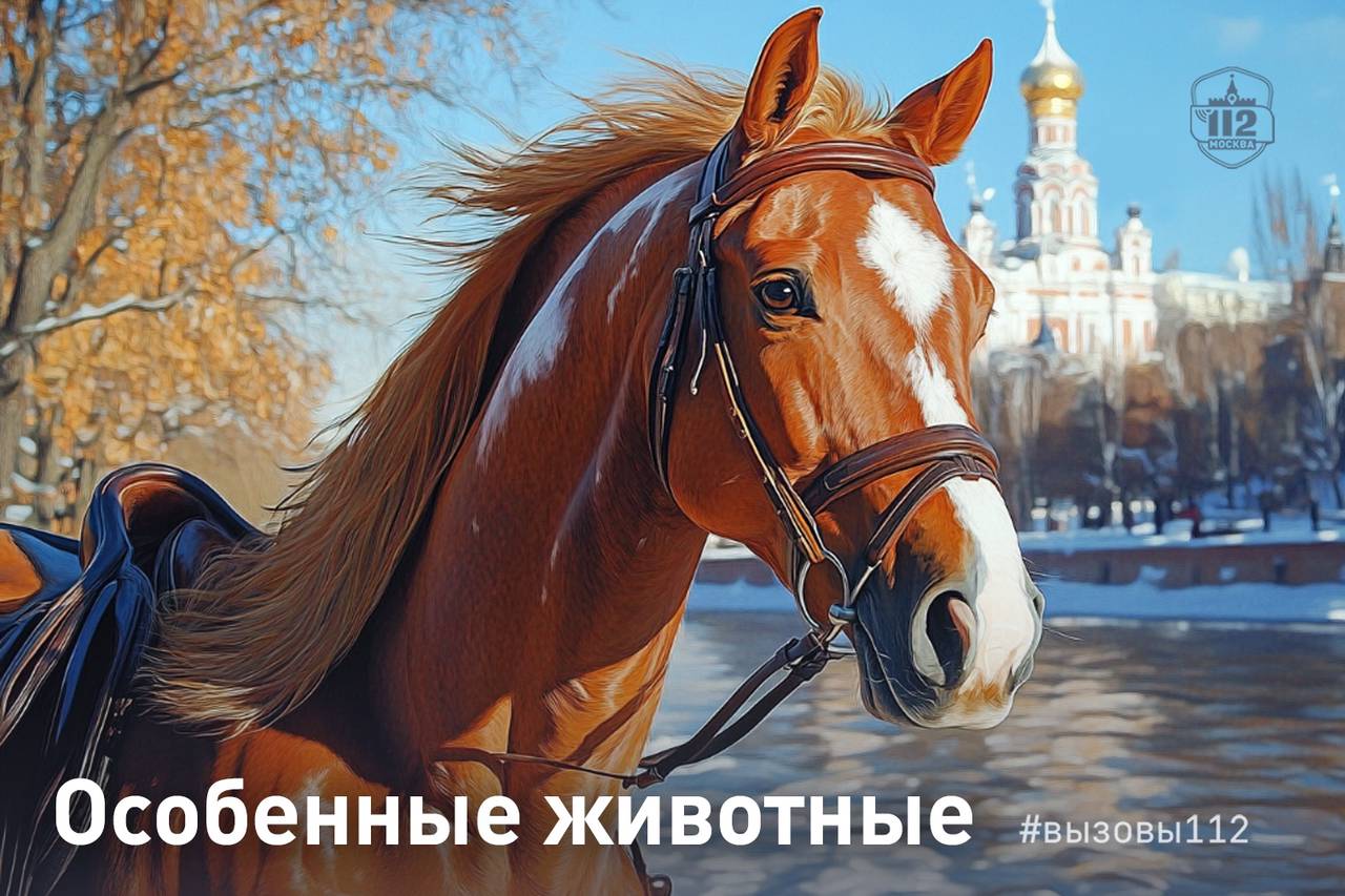 Фото: пресс-служба Управление по ЮАО Департамент