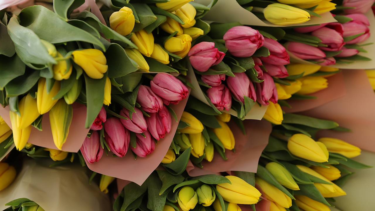 Ученики и их родители поздравят педагогов с воздушными шарами, плакатами, цветами и подарками. Фото: Анатолий Цымбалюк, «Вечерняя Москва»
