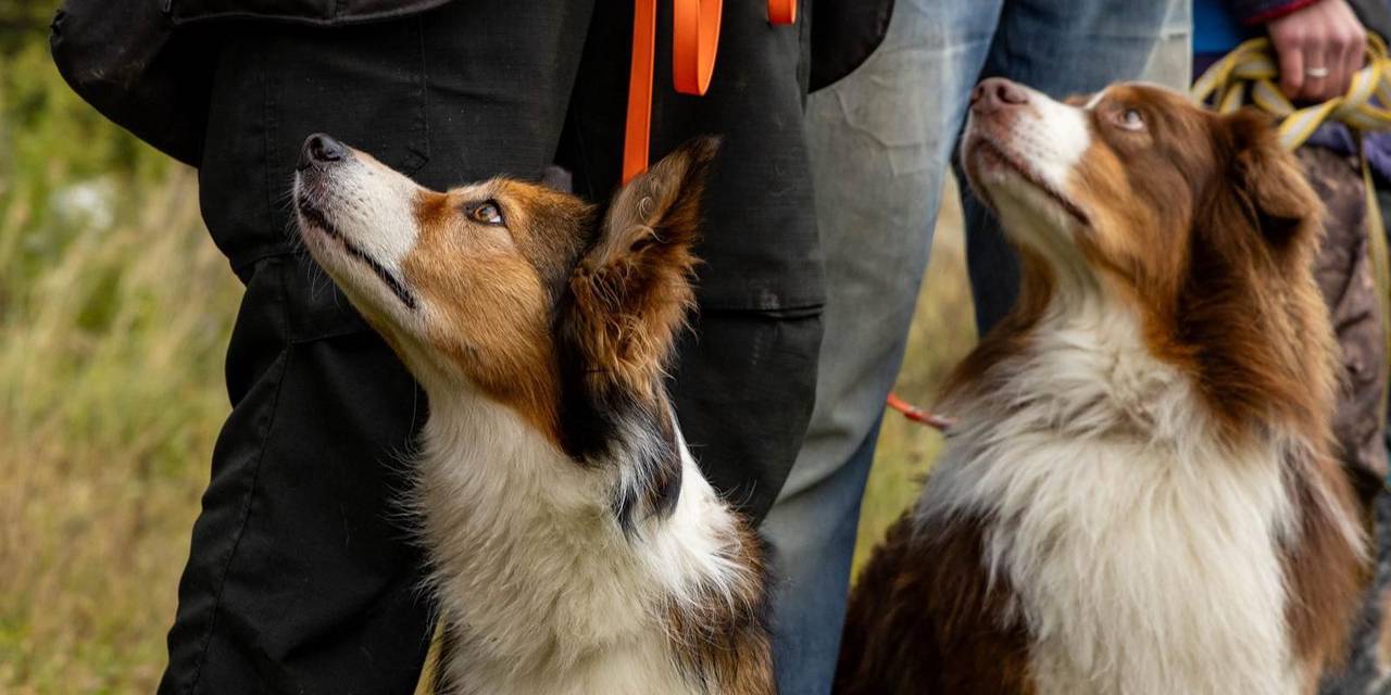 Фото: Управление по ЮАО Департамент
