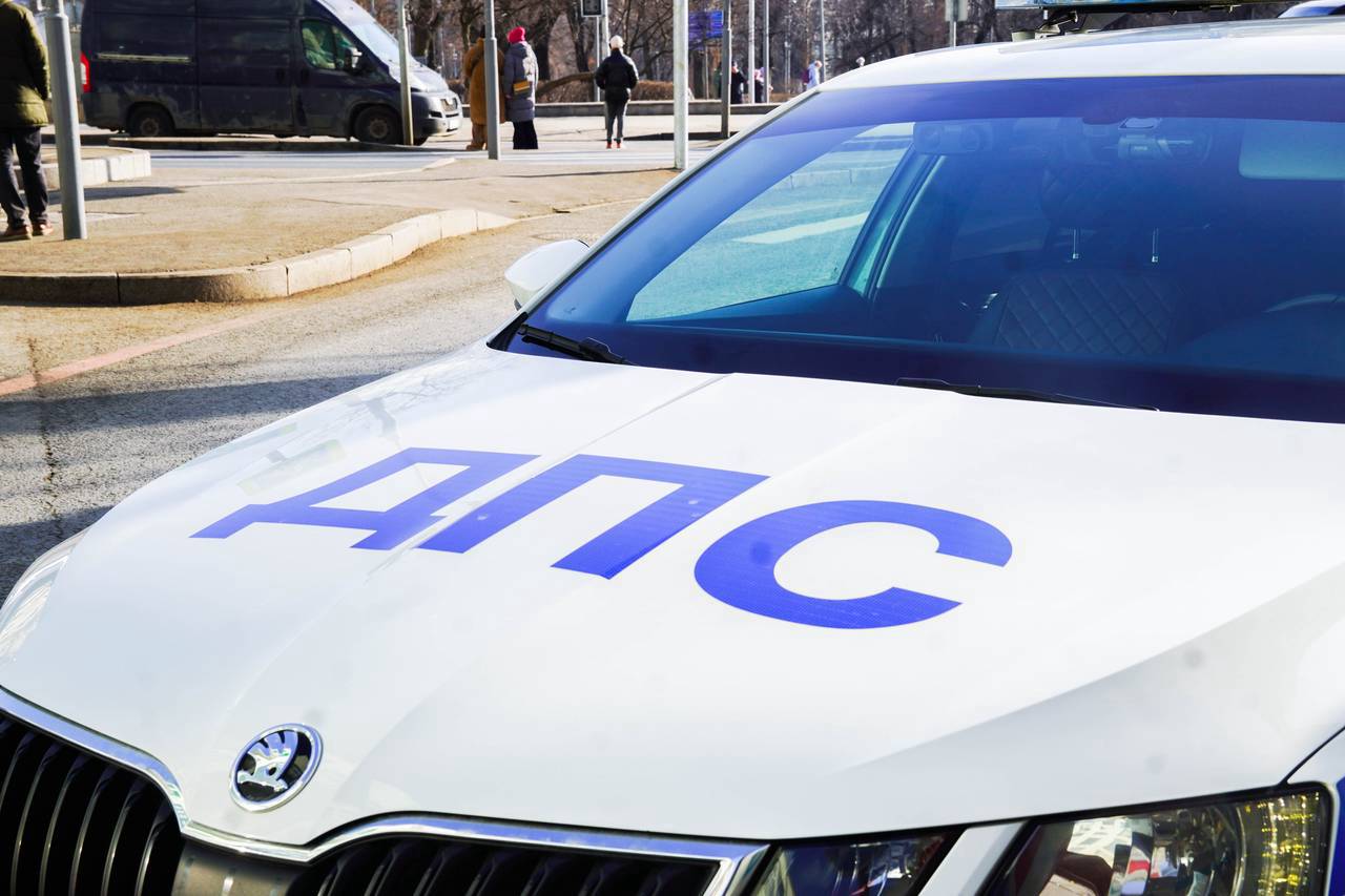  Фото: Ксения Догонашева, «Вечерняя Москва»