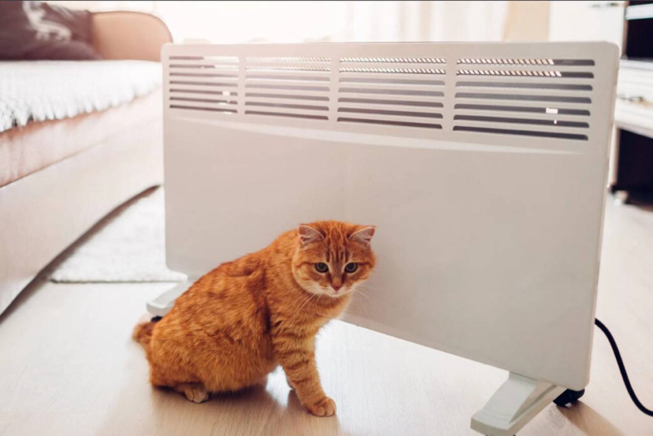 Фото: пресс-служба ГОЧСиПБ