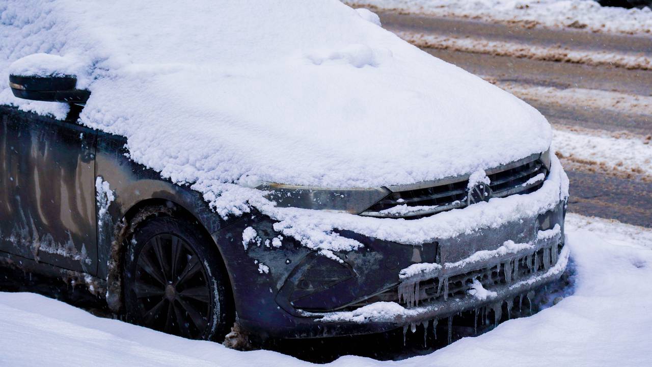 Фото: Ксения Догонашева, «Вечерняя Москва»