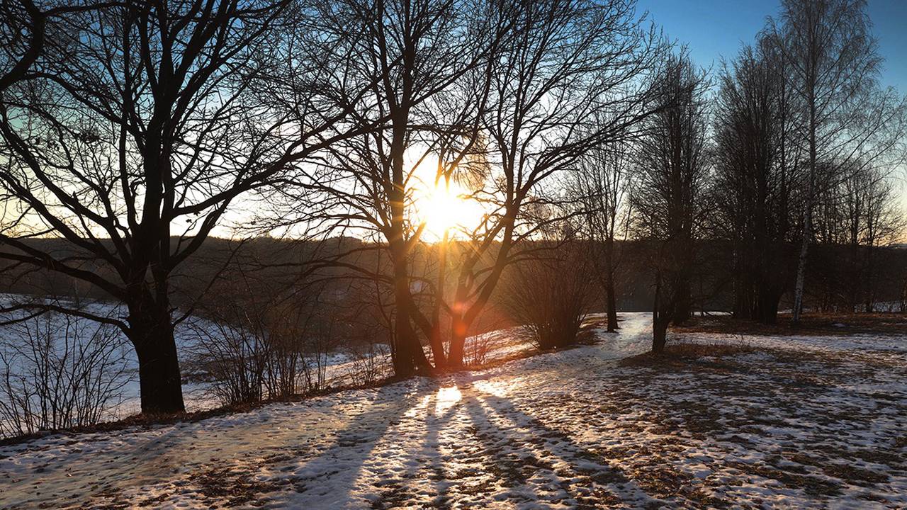 До конца ноября снегопады в столице не прогнозируются, и в декабре ожидается необычно теплая погода. Фото: Анатолий Цымбалюк, «Вечерняя Москва»