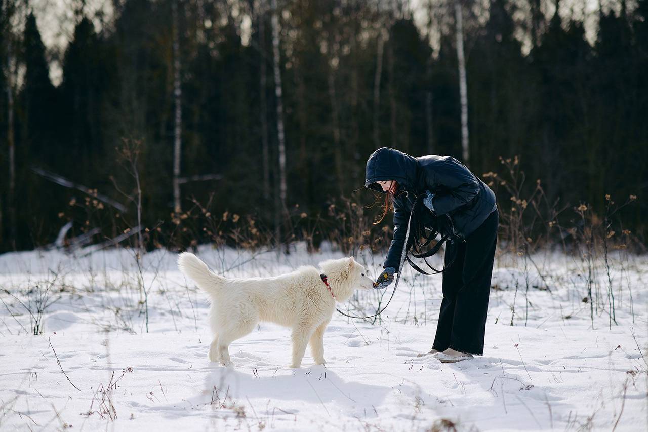 После завершения акции помощники волонтерского центра «Доброе место. ЮАО» отсортируют подарки, упакуют их в коробки и ближе к Новому году доставят в приют. Фото: пресс-служба Комитета общественных связей и молодежной политики города Москвы