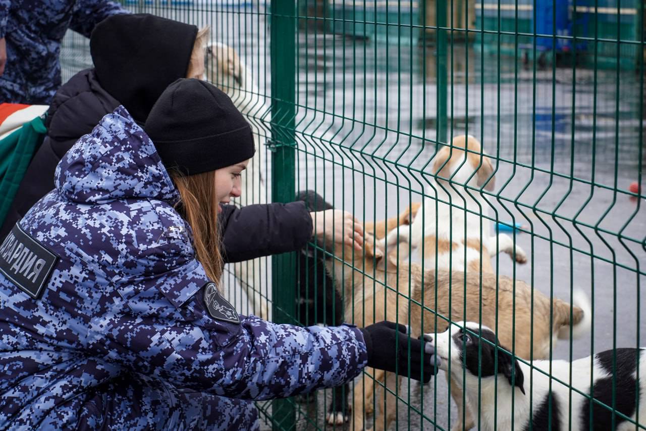 Московские росгвардейцы организовали благотворительную акцию в приюте для животных. Фото: пресс-служба Росгвардии 