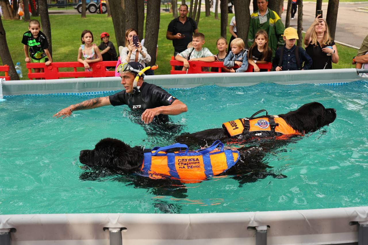 Фото: пресс-служба ГОЧСиПБ