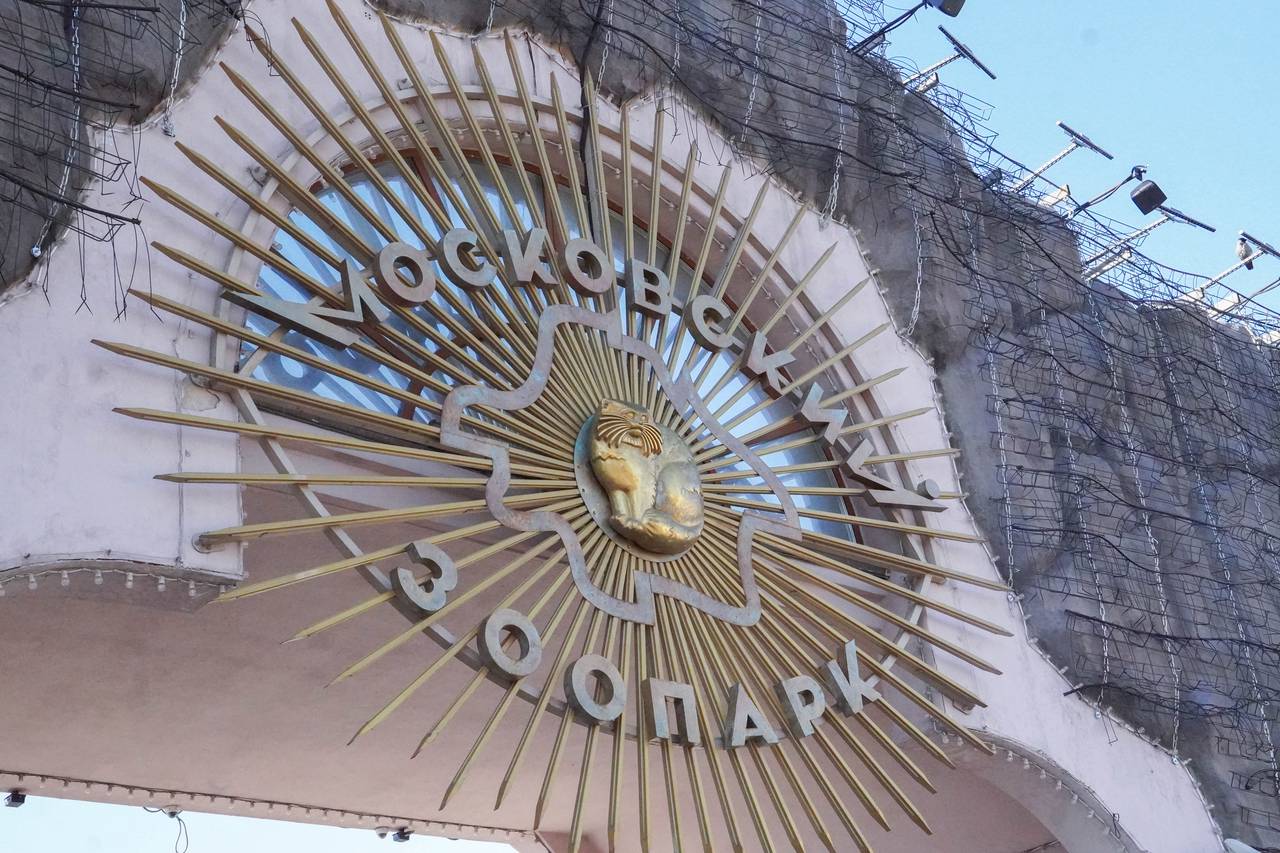 Распределение животных проводили сотрудники отдела спасения, они планово развезли животных в центральную территорию, филиал в Великом Устюге, зоосад в вотчне Деда Мороза и Центр воспроизводства редких видов животных. Фото: Ксения Догонашева, «Вечерняя Москва»