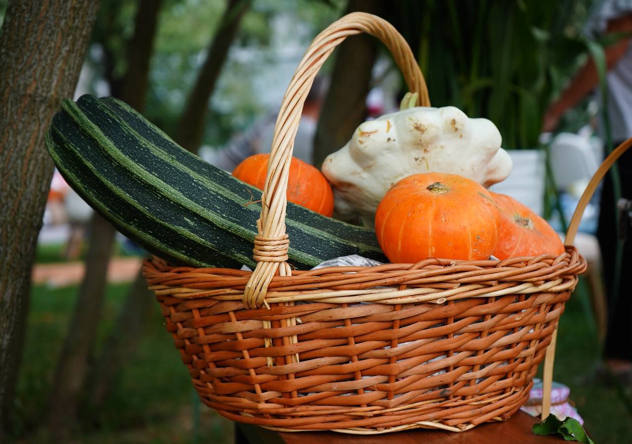 Фото: Анна Быкова, «Вечерняя Москва»