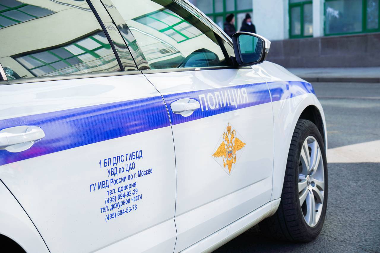 Фото: Ксения Догонашева, «Вечерняя Москва»