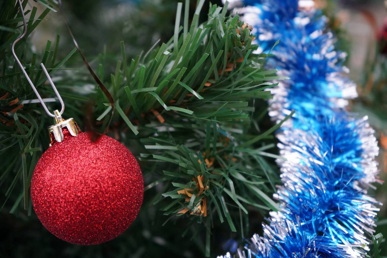  Фото: Анна Быкова, «Вечерняя Москва»