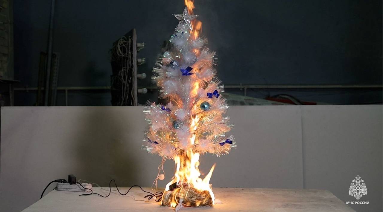 Фото: пресс-служба МЧС