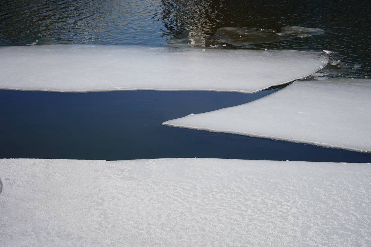 Фото: Анна Быкова, «Вечерняя Москва»