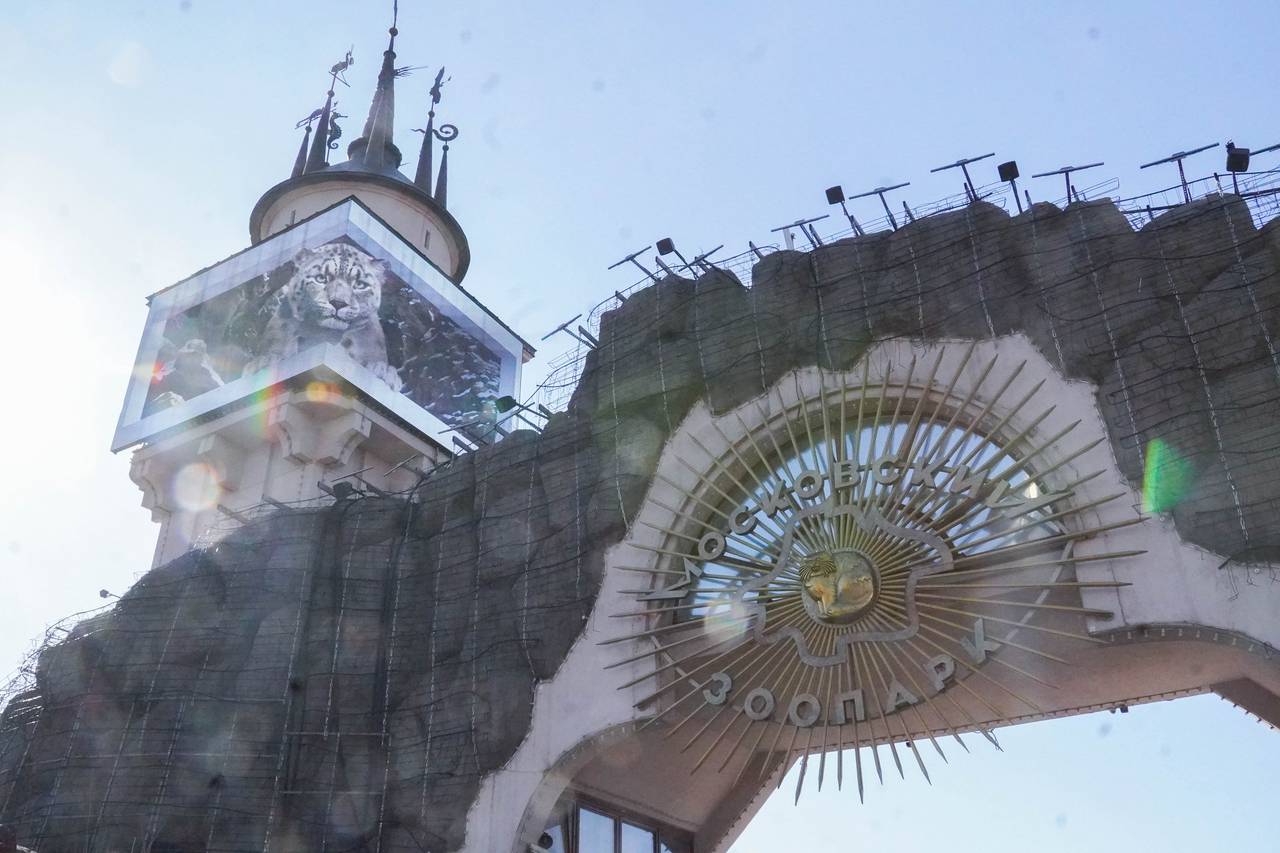 Во время выходных дней для посетителей подготовят лекции, мастер-классы, экскурсии, спектакли и квесты. Фото: Ксения Догонашева, «Вечерняя Москва»