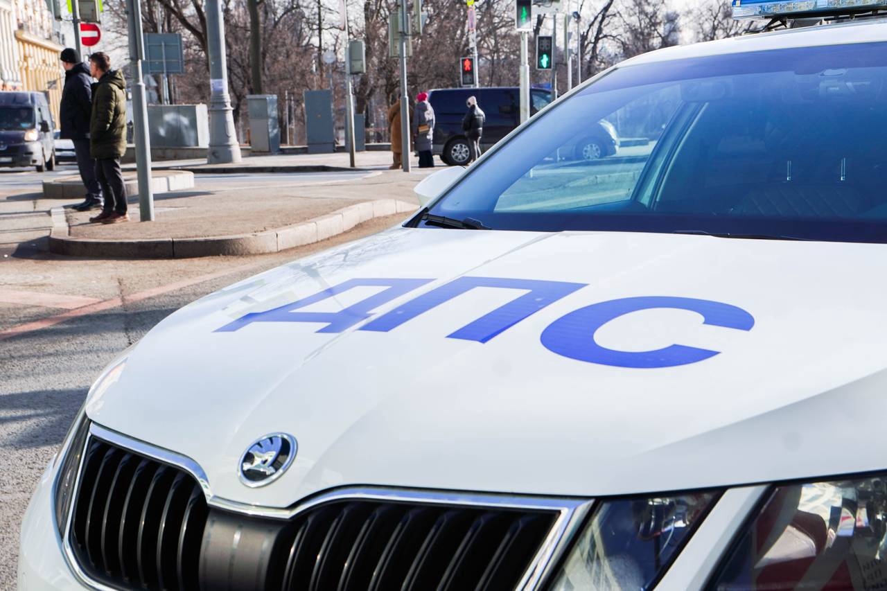 Фото: Ксения Догонашева, «Вечерняя Москва»