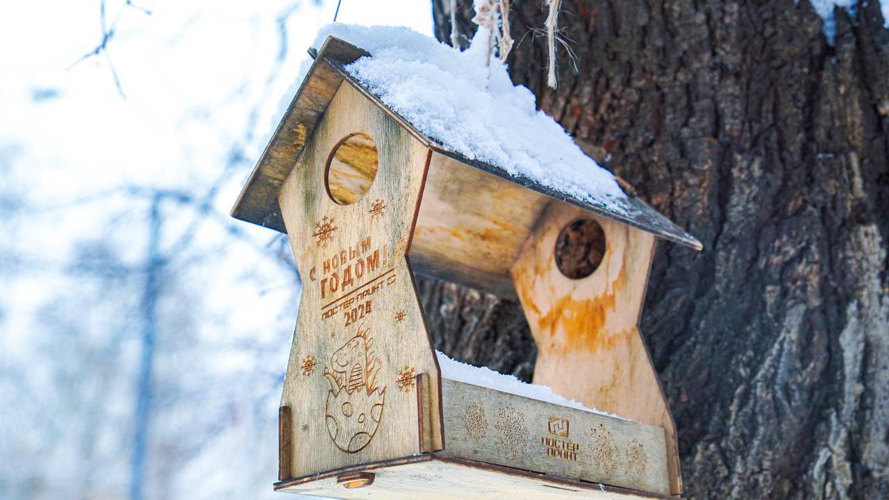 К середине недели температура воздуха в Москве и области максимально приблизится к климатической норме. Фото: Ксения Догонашева, «Вечерняя Москва»