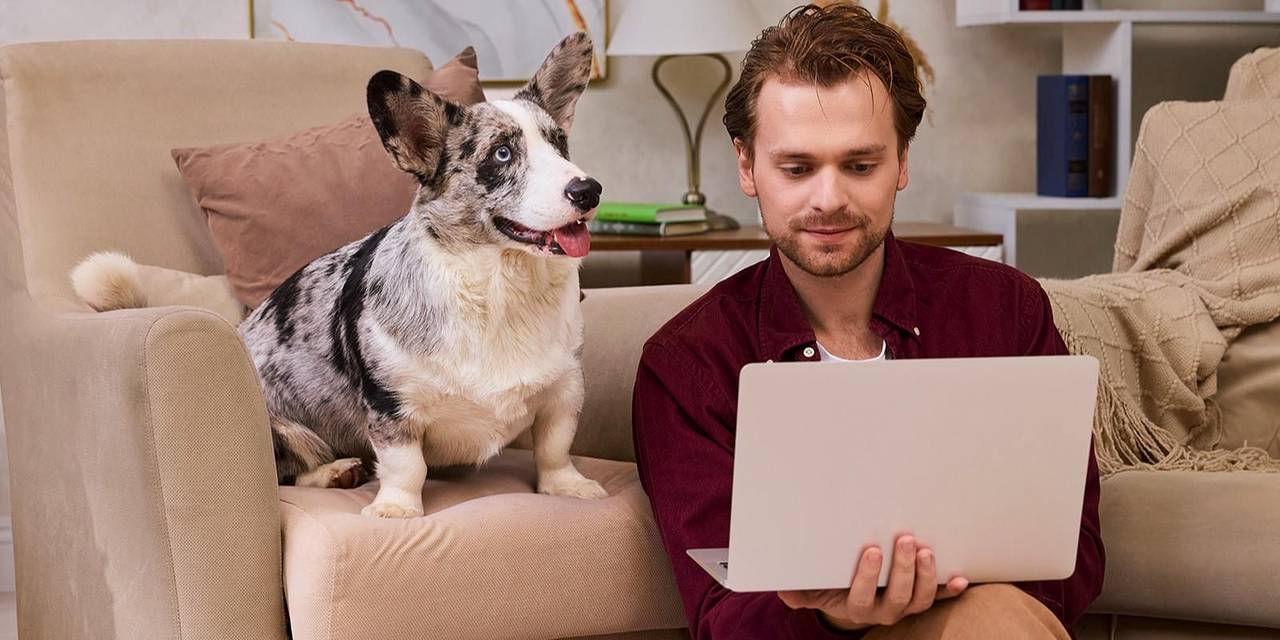 Ознакомиться с ними можно в электронной амбулаторной карте питомца, если он добавлен в личный кабинет на портале mos.ru. Фото: пресс-служба Департамента информационных технологий города Москвы