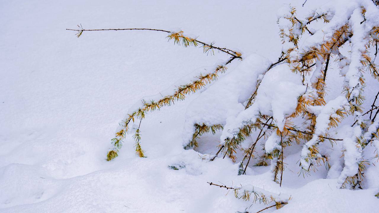Фото: Ксения Догонашева, «Вечерняя Москва»