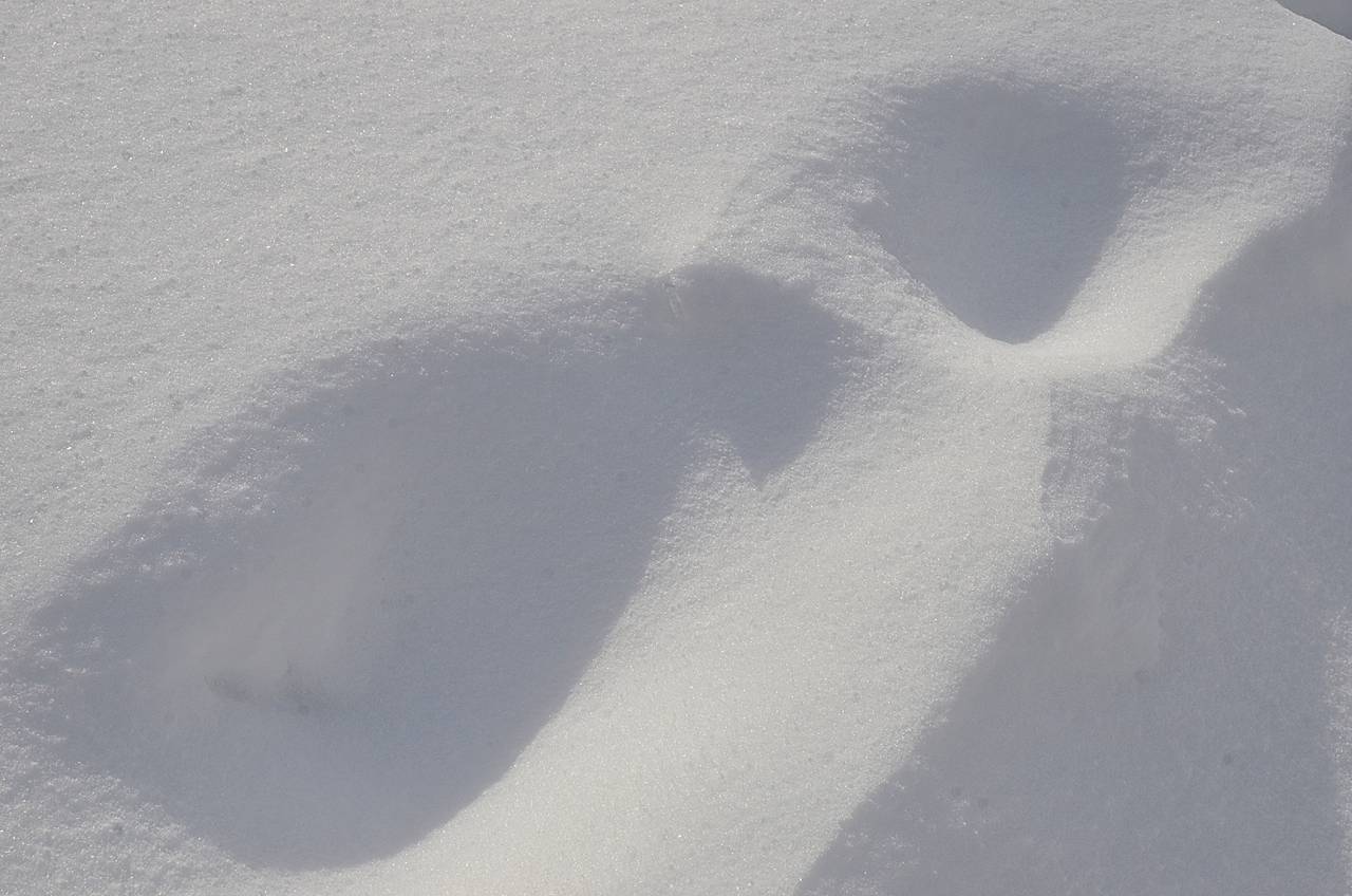 Фото: Анна Быкова, «Вечерняя Москва»