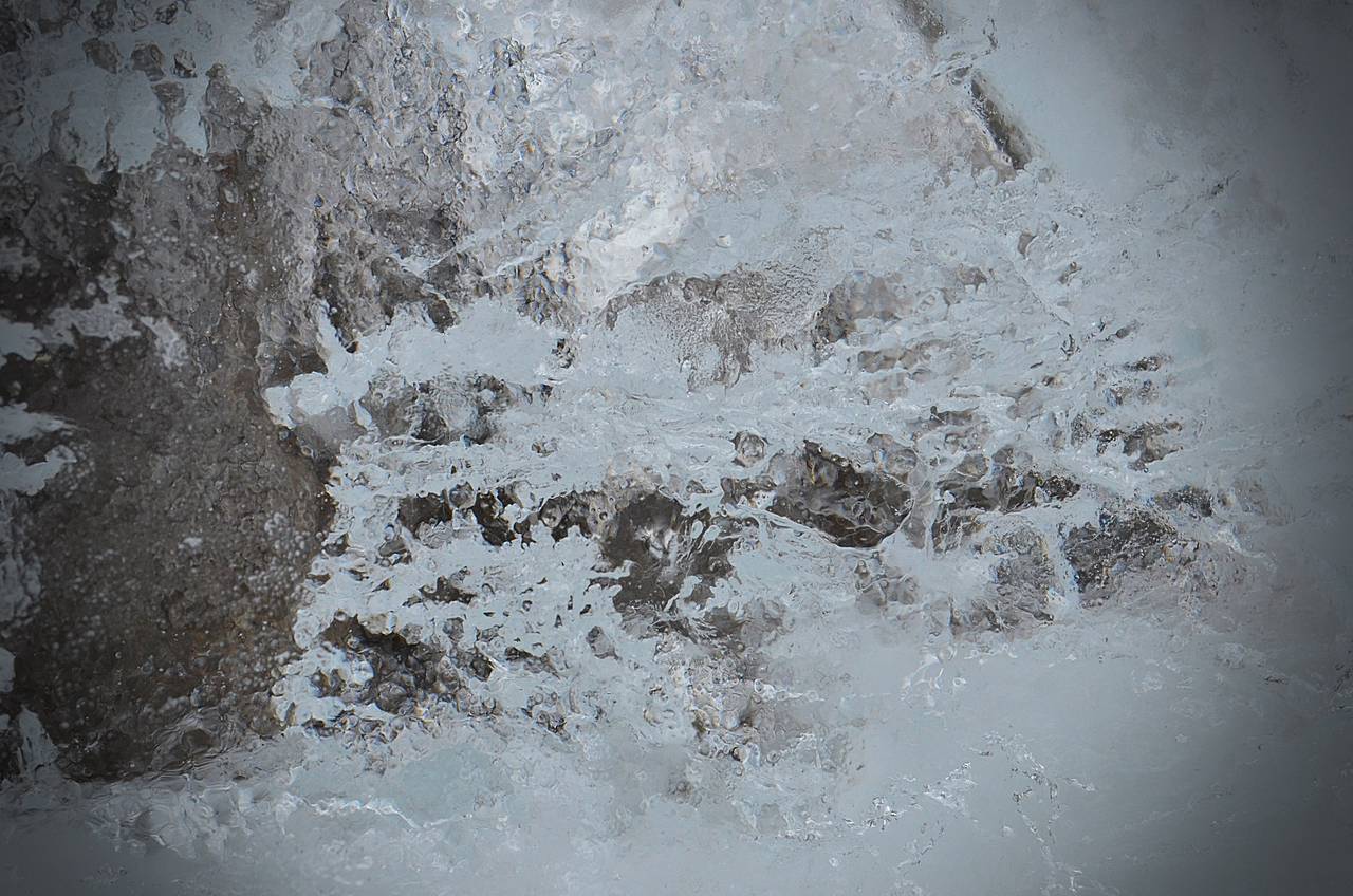 Фото: Анна Быкова, «Вечерняя Москва»