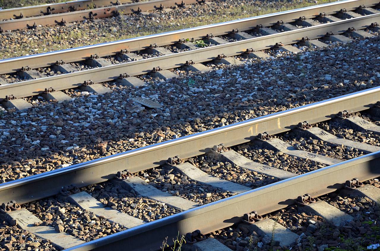 Скидка в 50 процентов будет действовать на поездки на «Ласточках» и «Сапсанах», которые будут совершены в этот же день. Фото: архив, «Вечерняя Москва»