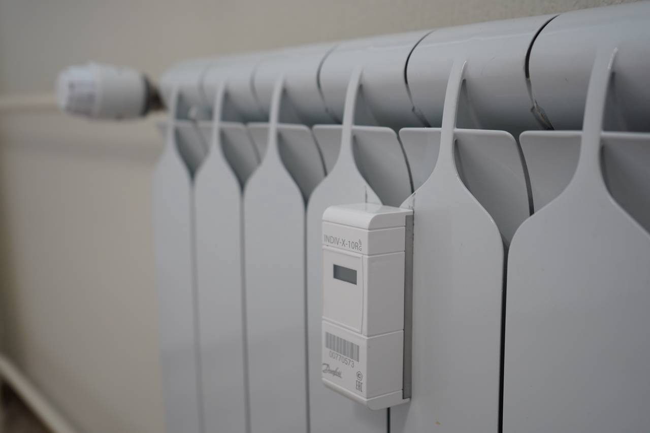 Фото: Анна Быкова, «Вечерняя Москва»