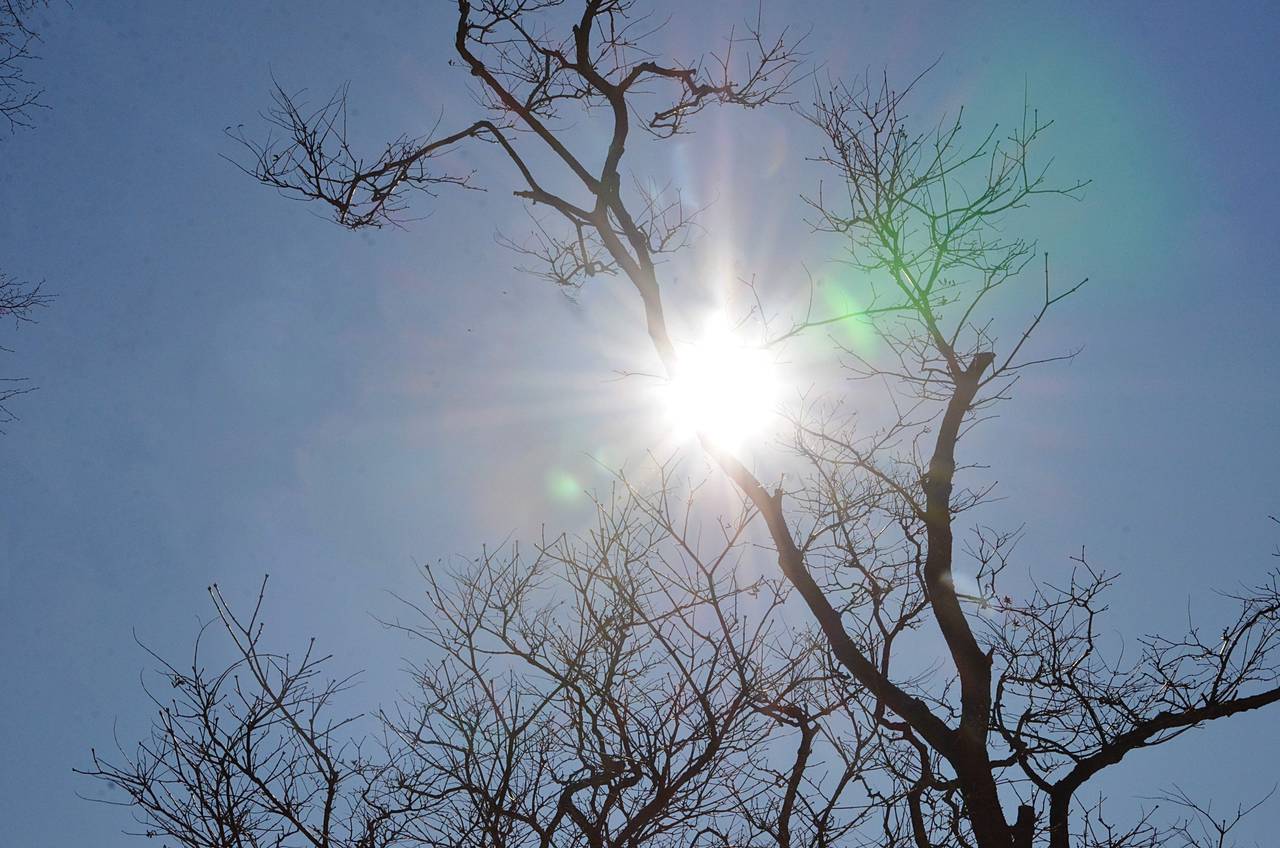  «Три солнца» могут взойти над Подмосковьем из-за морозов. Фото: Анна Быкова, «Вечерняя Москва»