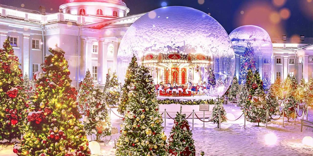 Одной паре предоставили возможность в красивую дату — 26 февраля — провести свадьбу в волшебной обстановке зимних декораций «Сада благодарности». Фото: пресс-служба Департамента здравоохранения города Москвы