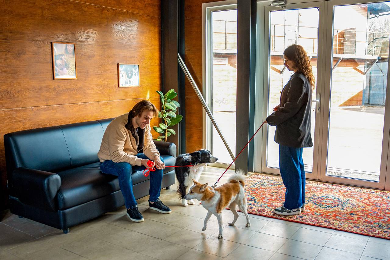 «Моспитомец» помог животным из городских приютов обрести долгожданные семьи. Фото: медиабанк «Мосфото»