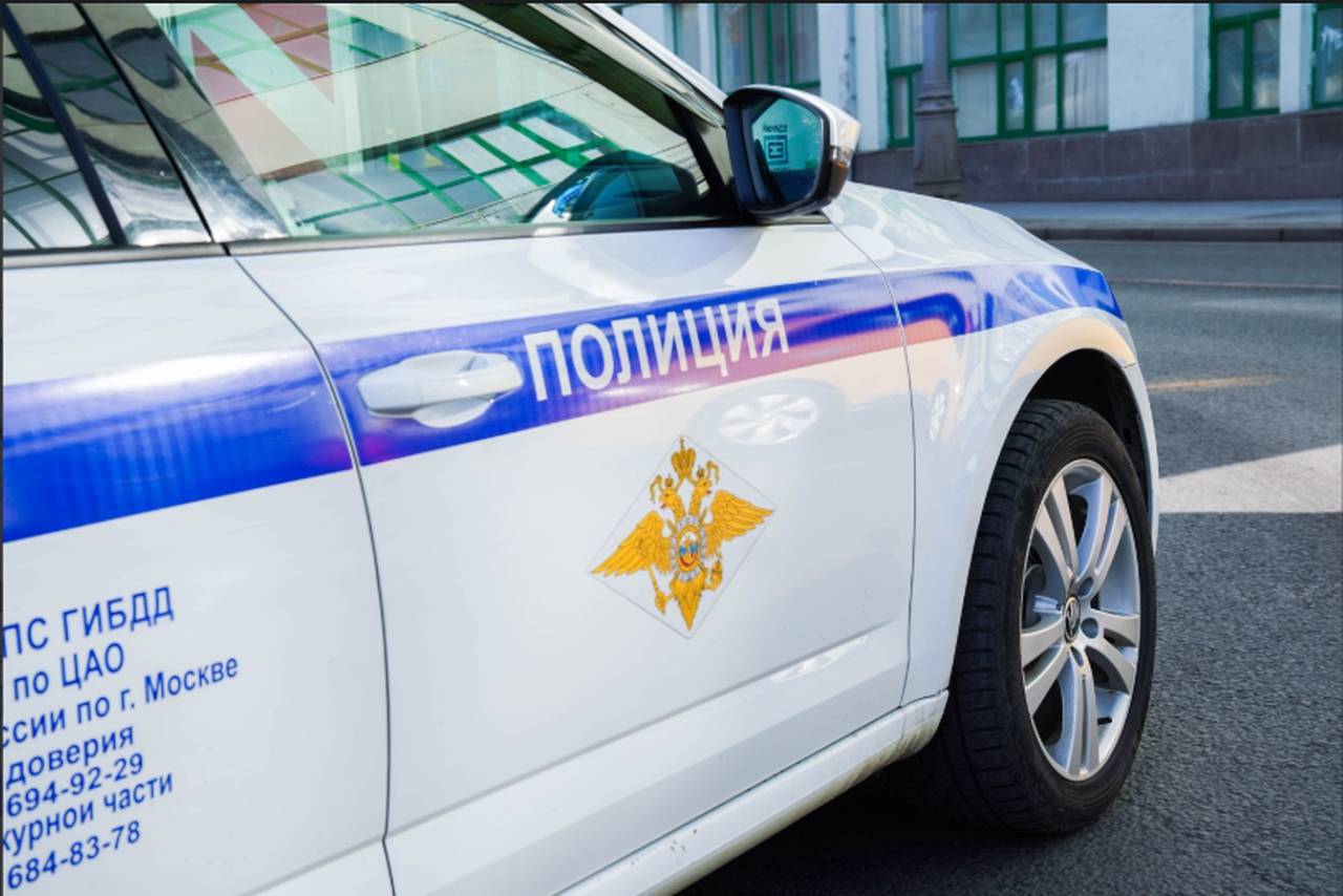 Фото: Ксения Догонашева, «Вечерняя Москва»