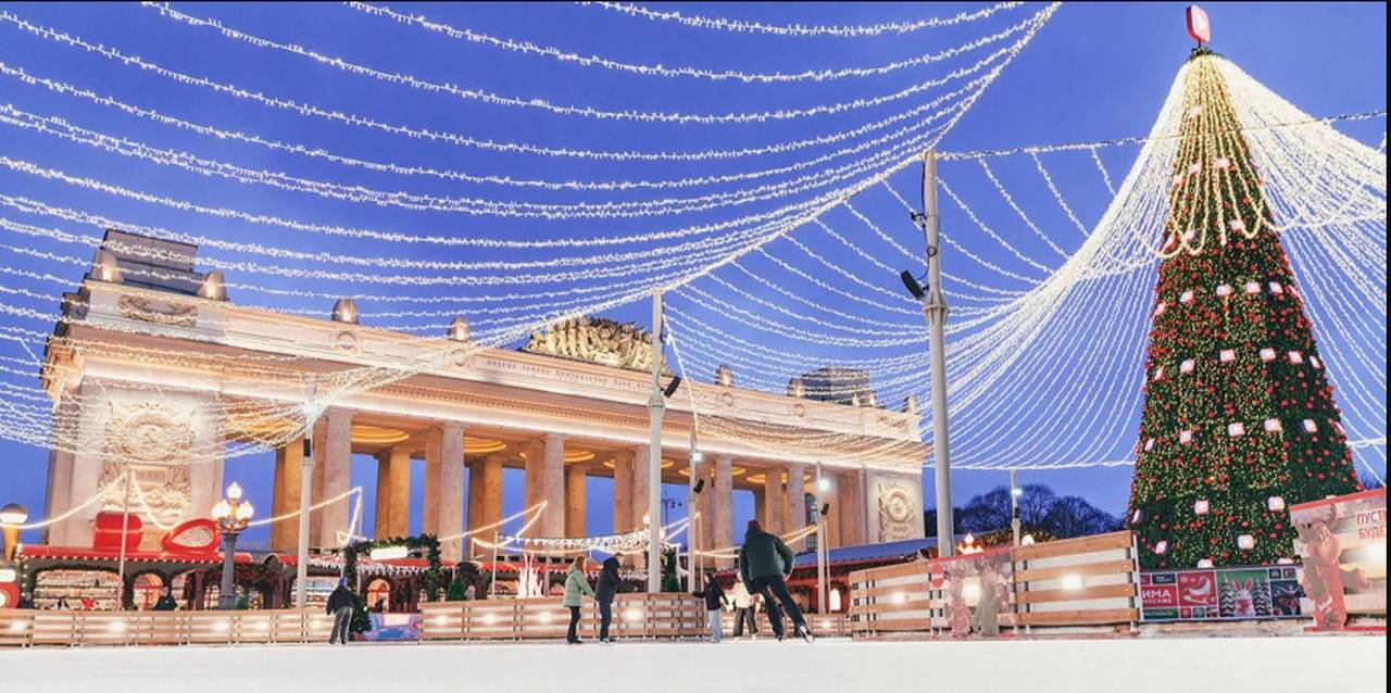 В обмен на литературу участникам подарят браслет, дающий право на бесплатное посещение катка у арки главного входа и прокат коньков. Фото: пресс-служба Департамента культуры города Москвы