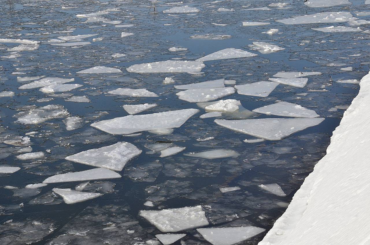 Аналогичное предупреждение объявлено для Московской области. Фото: Анна Быкова, «Вечерняя Москва»