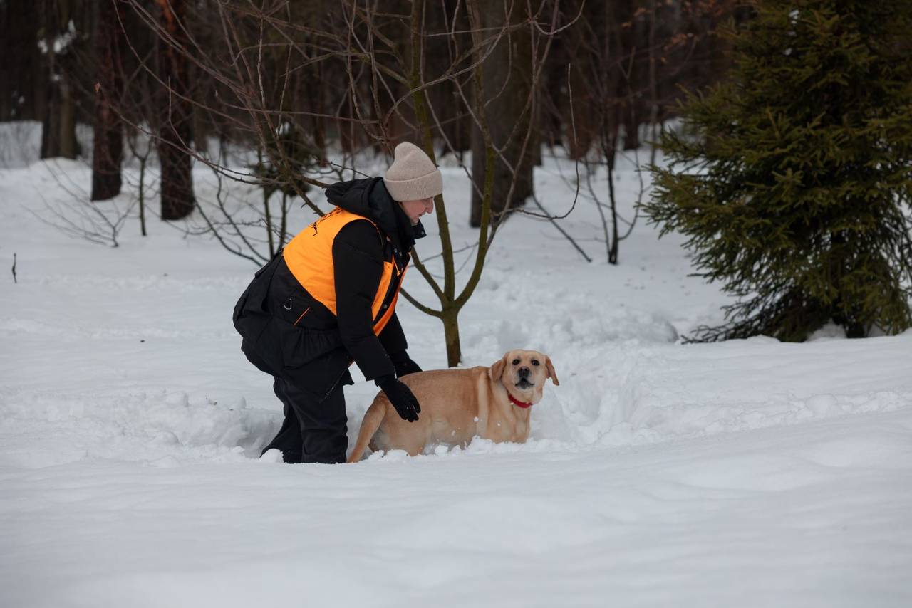 Фото: пресс-служба ГОЧСиПБ
