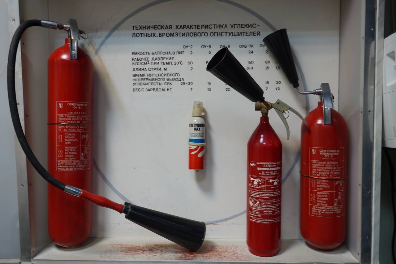 Фото: Анна Быкова, «Вечерняя Москва»