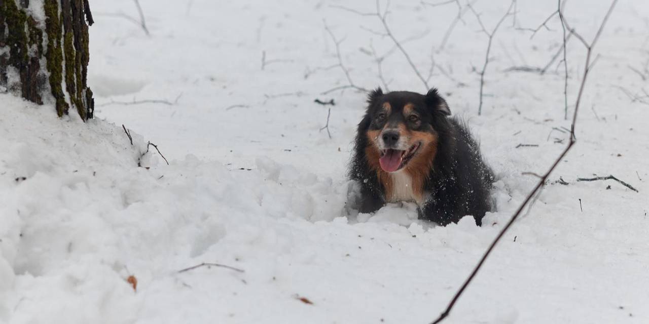 Фото: пресс-служба Управление по ЮАО Департамент